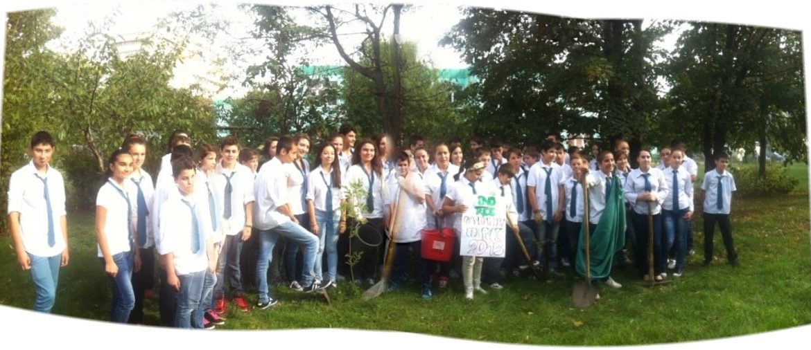 Planting tree – 21-09-2013