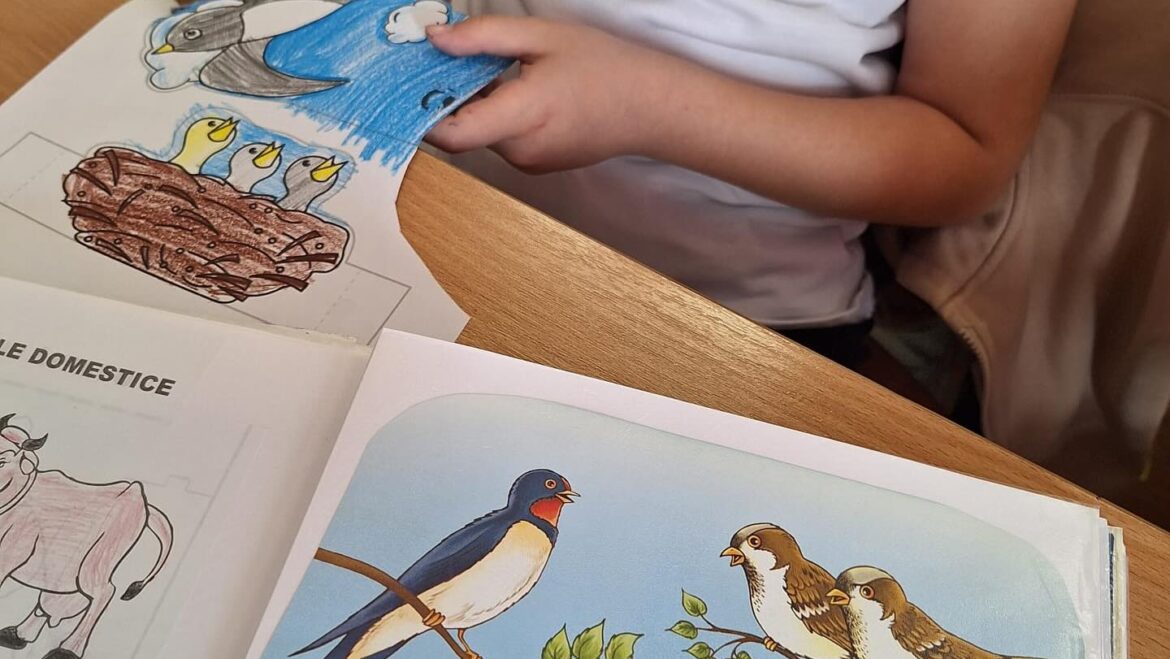 1 Aprilie,  Ziua Păsărilor