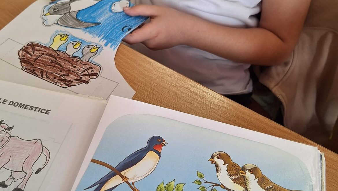 1 Aprilie,  Ziua Păsărilor